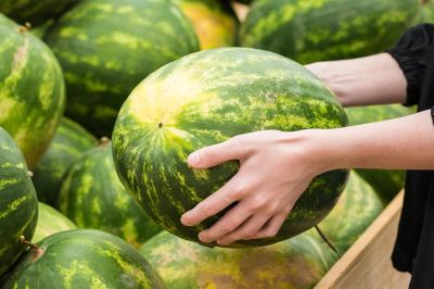 Chorvatsko řeší bizár z melounomatů. Nabízely drahé plody nejasného původu