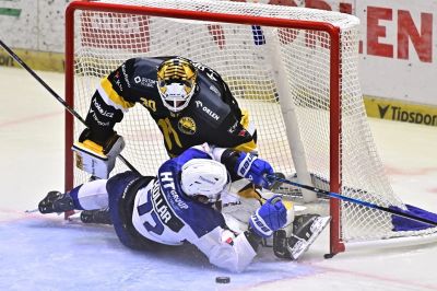 Vládci hokeje: Kteří mladíci zaujmou v extralize? Hradec ukázal recept na mistra