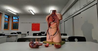 KVÍZ: Kolik toho víš o svém vlastním těle? Schválně, jestli znáš těchto 12 faktů z lidské anatomie